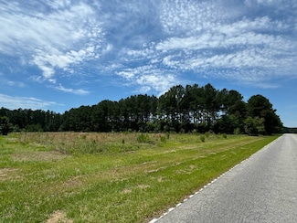1 Confederate Hwy Parcel A, Fairfax, SC 29827