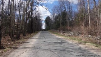 Camp Road, Ulster Heights, NY 12428