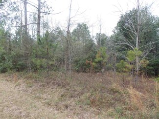 0 NE Rye Ct Unit 277421, Lee, FL 32059
