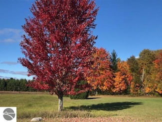 Lot 17 Powell Dr, Cadillac, MI 49601