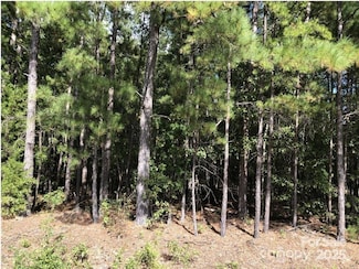 3826 Stoneboro Rd, Heath Springs, SC 29058