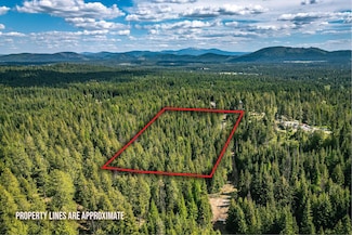 270 Lupine Ln, Newport, WA 99156
