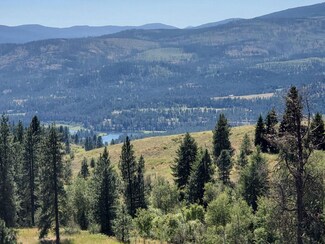 XXXX Bridgeman-Rettinger Rd, Kettle Falls, WA 99141