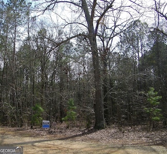 LOT 29 Benjamin Brown Ct, Elberton, GA 30635