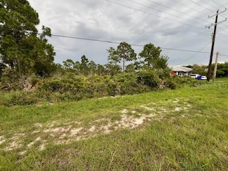617 Washington Blvd, Lake Placid, FL 33852