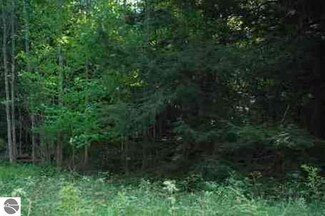 Lot 224+ Michigan Trail Unit 224+, Torch Lake Township, MI 49648