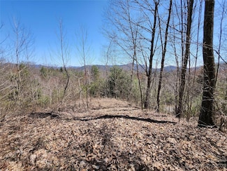 435 Pine Cone Trail, Marshall, NC 28753