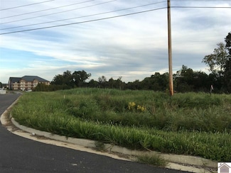 0000 Access Rd, Benton, KY 42025