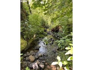 0 Rock Creek Rd, Willamina, OR 97396