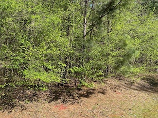 Lot C25 Peach Orchard Rd, Ivey, GA 31031