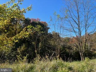 15855 Moss Creek Ct, Brandywine, MD 20613