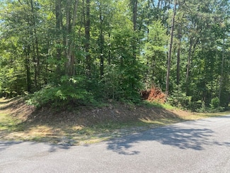 Lot 36 Turtle Head Dr, Salem, SC 29676
