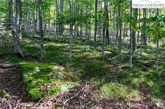 123 Briarwood Ln, Beech Mountain, NC 28604