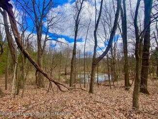 Parcel B/C W Bath Rd, Perry, MI 48872