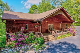 409 Shady Ln, Mineral Bluff, GA 30559