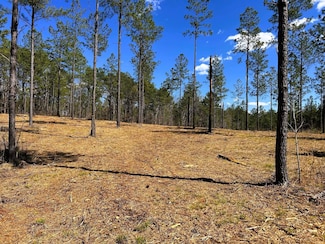 Tract 26b Hughes Lake Rd SE, Cleveland, TN 37323