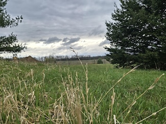 6336 Mast Rd, Webster Township, MI 48130