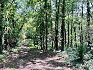 1998 1st Ave W Unit 4.33, Alabaster, AL 35007