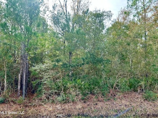 00 Beach St, Ocean Springs, MS 39564