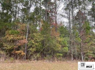 3 Wilson - Turner Ln, Downsville, LA 71234