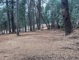 0 Oregon Trail Rd, Georgetown, CA 95634