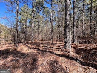 Lot 50 Deyton Dr, Blairsville, GA 30512