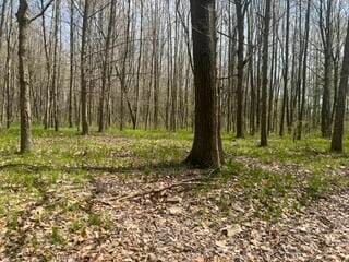 TBD Pierce Rd, Stanwood, MI 49346
