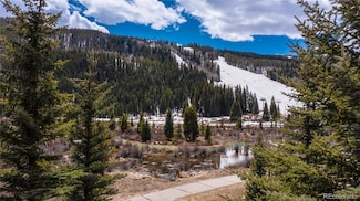 58 Hawk Cir Unit 2342, Dillon, CO 80435