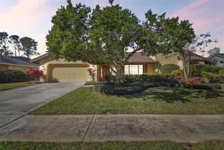 14031 Shady Shores Dr, Tampa, FL 33613