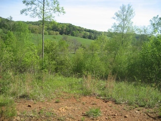 654 Silverleaf Rd, Dugspur, VA 24325
