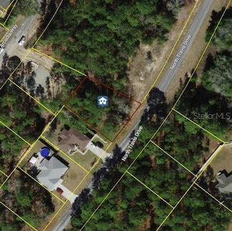 9561 N Travis Dr, Citrus Springs, FL 34434
