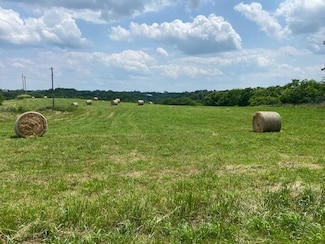 1592 S Bluegrass Rd, Brooksville, KY 41004