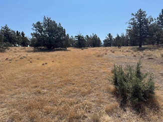 Unit 3 Lot 124 Juniper Peak Unit 3, Weed, CA 96094