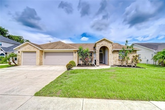 4211 Elba Place, Valrico, FL 33596