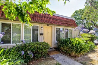 4316 Lenoso Common, Fremont, CA 94536