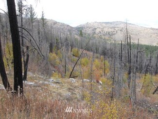 0 Tbd Evan's Ranch Rd Unit 1856446, Riverside, WA 98849