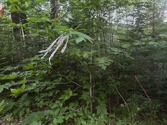 M8rlot24 Unit 24A Anson Valley Roa, New Vineyard, ME 04956