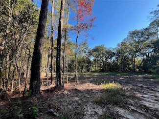62156 Vista Dr, Lacombe, LA 70445