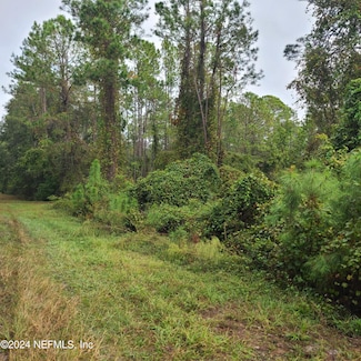 0 Gardenia Ave, Georgetown, FL 32139