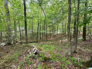 0 Timber Trail Unit 1 21383959, Warrior, AL 35180