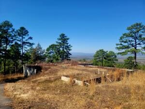 10067 George Mountain Ln, Danville, AR 72833