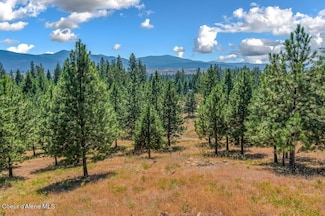 NNA W Hollister Hills Dr, Post Falls, ID 83854