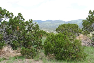 67 Pinon Springs Rd, Magdalena, NM 87825