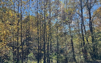 4 AC Tusquittee Rd, Hayesville, NC 28904