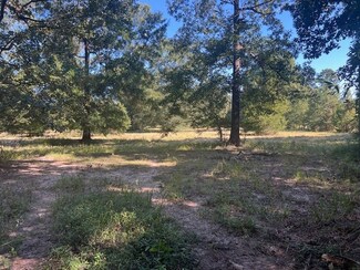 TBD Galloway Rd N, Livingston, TX 77351
