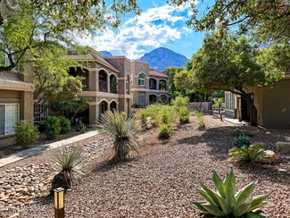 1500 E Pusch Wilderness Dr Unit 10106, Tucson, AZ 85737