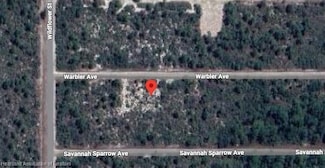 3220 Wilson's Warbler Ave, Lake Placid, FL 33852