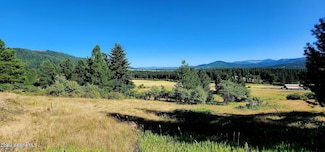 0 Pokey Creek Unit 24-7096, Santa, ID 83866