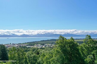 2970 Kestrel Cir, Homer, AK 99603