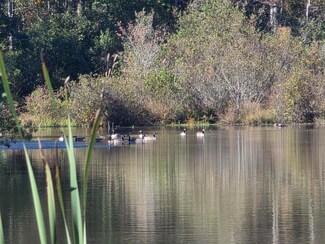 3644 Lake Marston Dr, Orangeburg, SC 29118